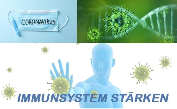 Immunsystem stärken.JPG